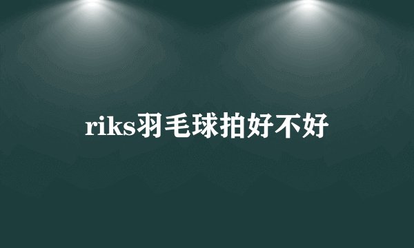 riks羽毛球拍好不好