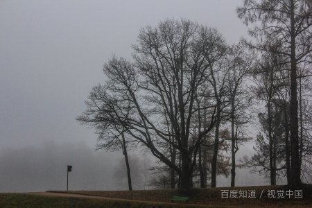 切尔诺贝利日记高清电影