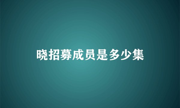 晓招募成员是多少集