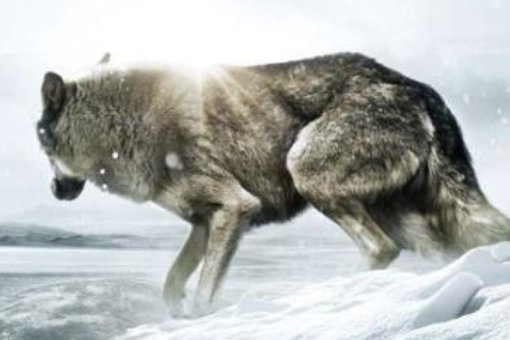 详细历届金鸡奖获奖名单?