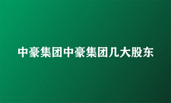 中豪集团中豪集团几大股东