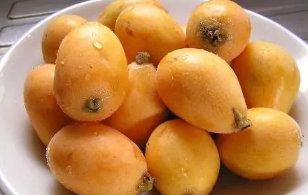 科学家用一辈子为枇杷改名，枇杷的改名经历了哪些？