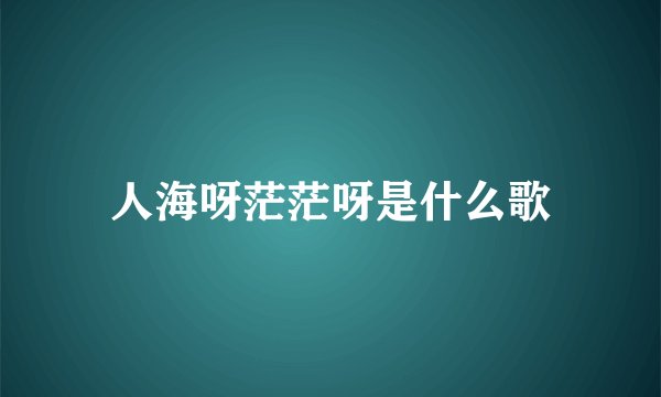 人海呀茫茫呀是什么歌