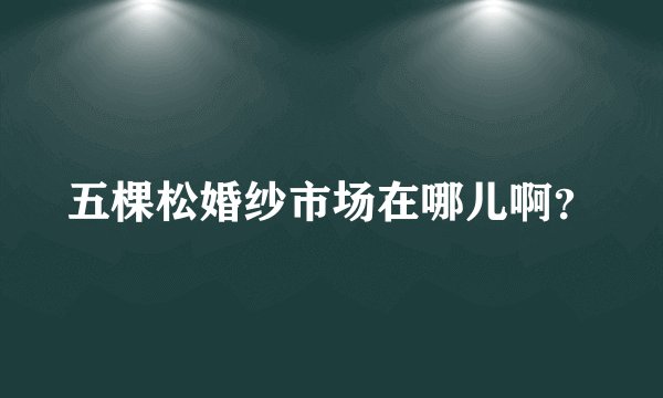 五棵松婚纱市场在哪儿啊？