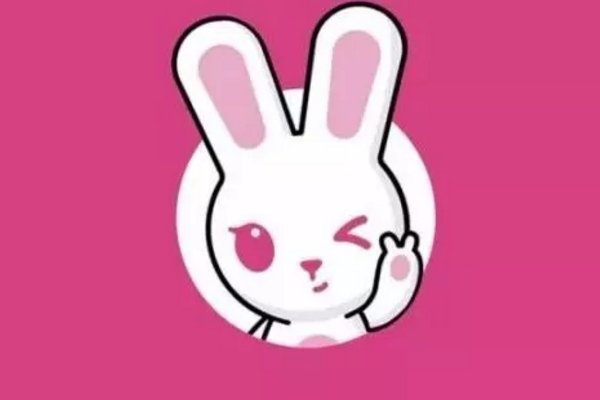 2020年十大社交电商平台是哪些？