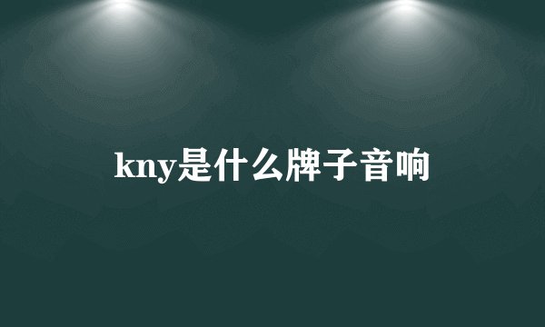 kny是什么牌子音响