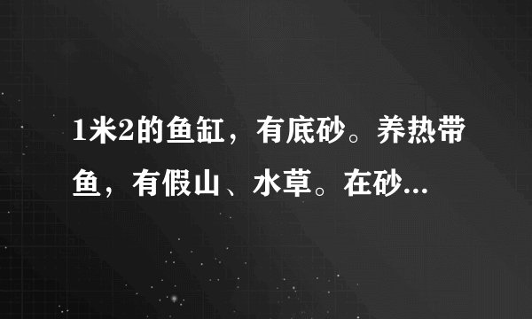 1米2的鱼缸，有底砂。养热带鱼，有假山、水草。在砂子里有红黑色小虫。请问是什虫子？对鱼有害吗？怎么杀？