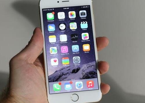 173是什么号码？