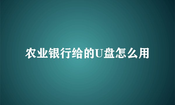 农业银行给的U盘怎么用