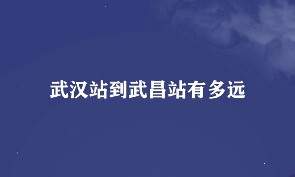 武汉站到武昌站有多远