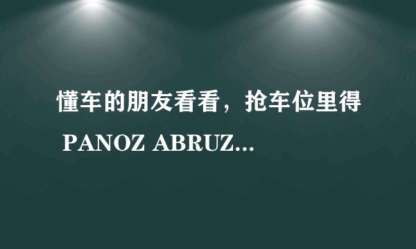 懂车的朋友看看，抢车位里得 PANOZ ABRUZZI是什么车啊