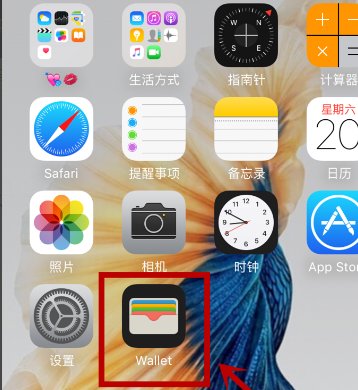 iphone 里面wallet是什么意思