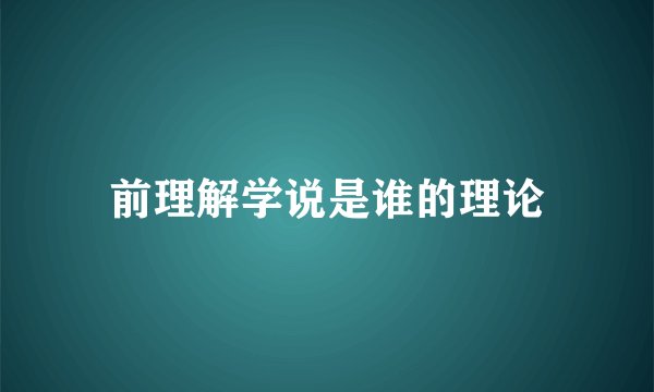 前理解学说是谁的理论