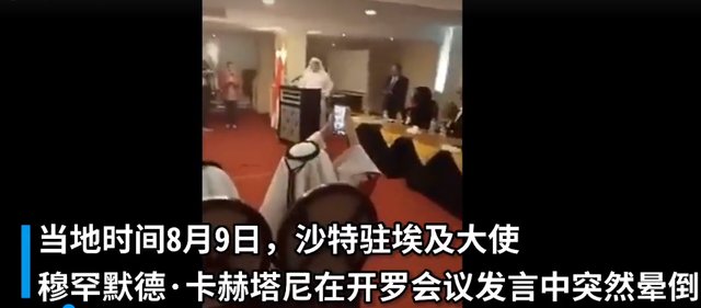 太突然了！沙特驻埃及大使演讲时晕倒去世，这对两国之间的建好有无影响？