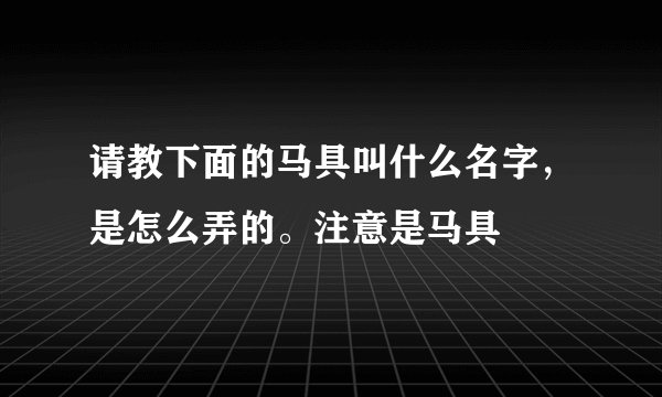 请教下面的马具叫什么名字，是怎么弄的。注意是马具