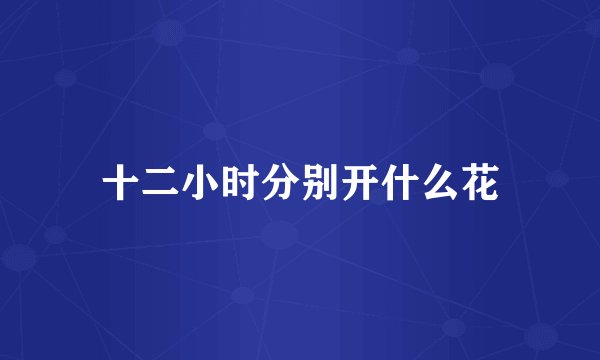 十二小时分别开什么花