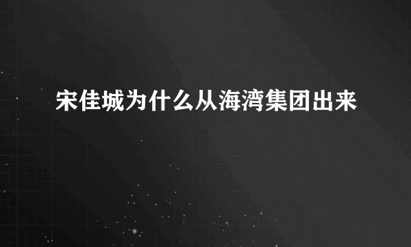 宋佳城为什么从海湾集团出来