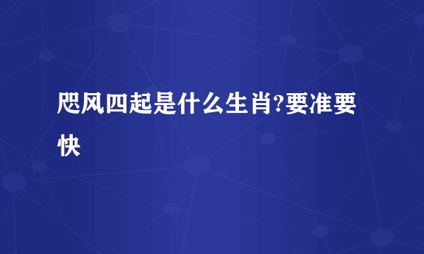 咫风四起是什么生肖?要准要快