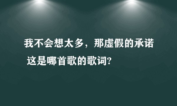 我不会想太多，那虚假的承诺 这是哪首歌的歌词?