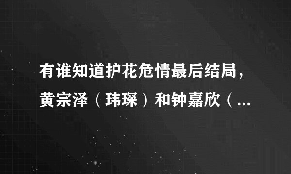 有谁知道护花危情最后结局，黄宗泽（玮琛）和钟嘉欣（子琳）后来又没有在一起？要正确，求高手！