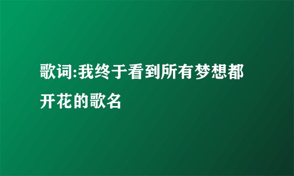 歌词:我终于看到所有梦想都开花的歌名