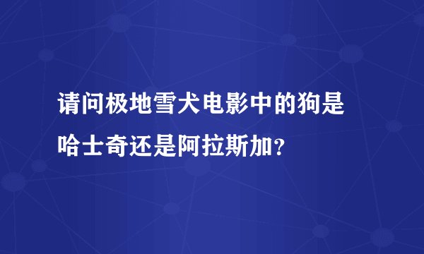 请问极地雪犬电影中的狗是 哈士奇还是阿拉斯加？