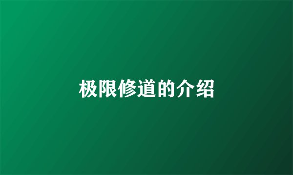 极限修道的介绍