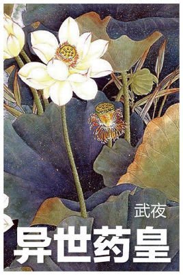 异世药皇的主角介绍