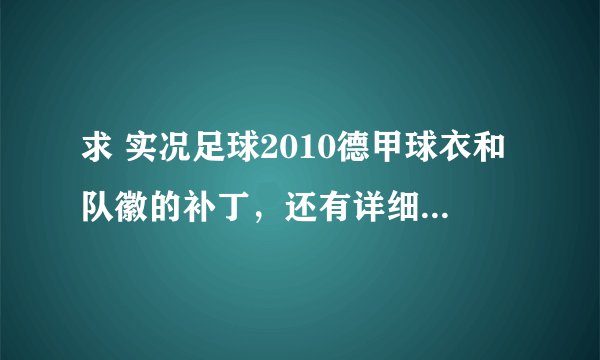 求 实况足球2010德甲球衣和队徽的补丁，还有详细安装教程