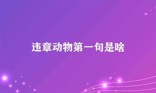 违章动物第一句是啥