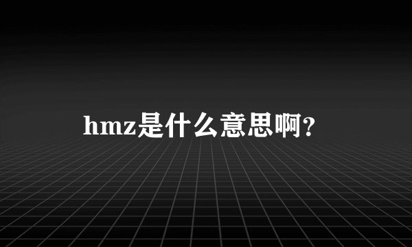 hmz是什么意思啊？