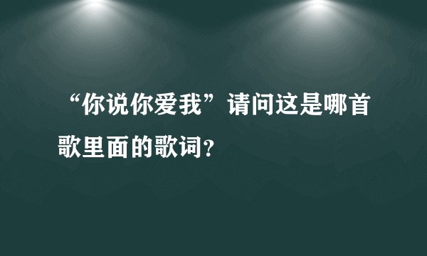 “你说你爱我”请问这是哪首歌里面的歌词？