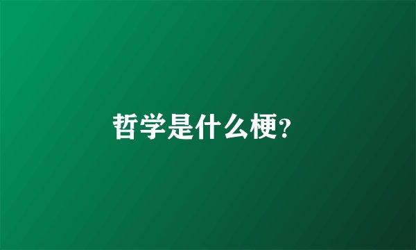 哲学是什么梗？