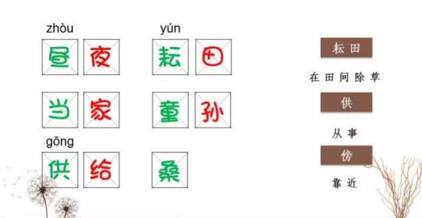 梅子金黄杏子肥的诗意是什么?