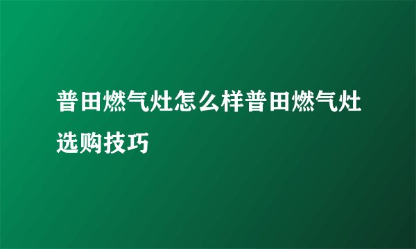 普田燃气灶怎么样普田燃气灶选购技巧