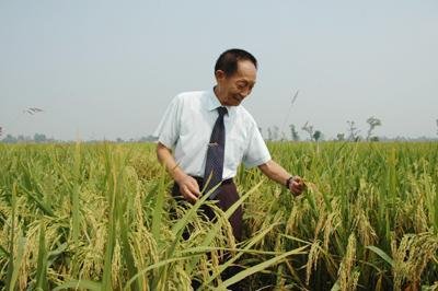 袁隆平为何不能生孩子了