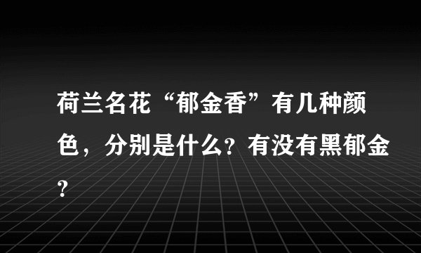 荷兰名花“郁金香”有几种颜色，分别是什么？有没有黑郁金？