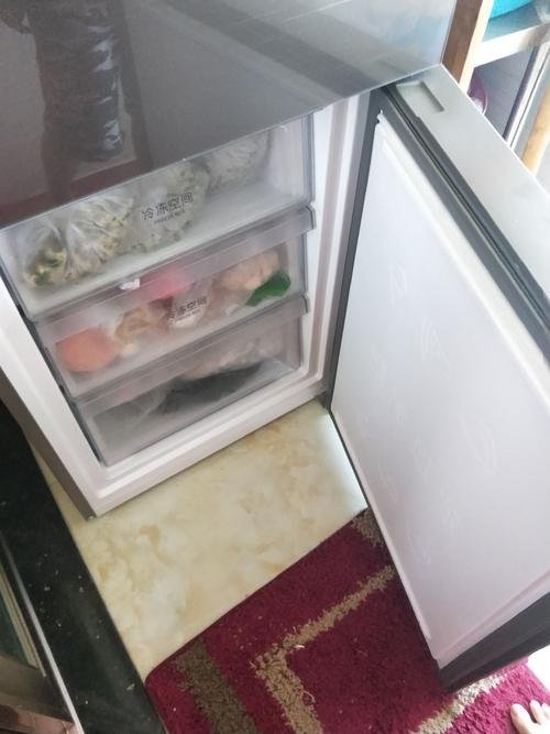 上海女子晒冰箱花6分钟数完物资，买个大冰箱真的很有必要吗？