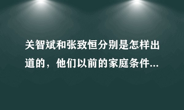 关智斌和张致恒分别是怎样出道的，他们以前的家庭条件怎样，背景是什么