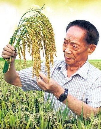 袁隆平曾拒5千美元月薪留在国内,他的爱国精神是否值得我们敬佩?