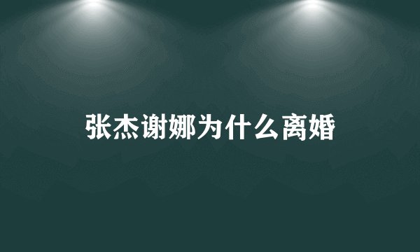 张杰谢娜为什么离婚
