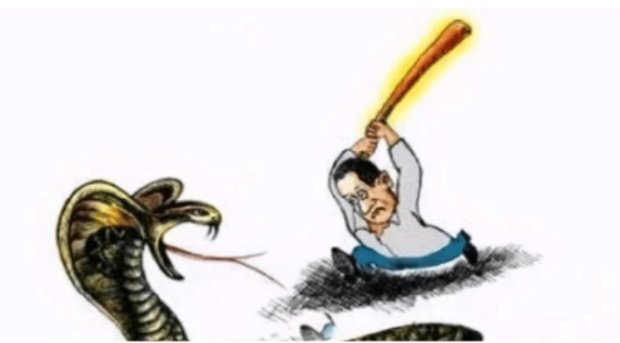 美国一航班上惊现活蛇，乘客尖叫连连，遇到蛇应该怎样自保呢？