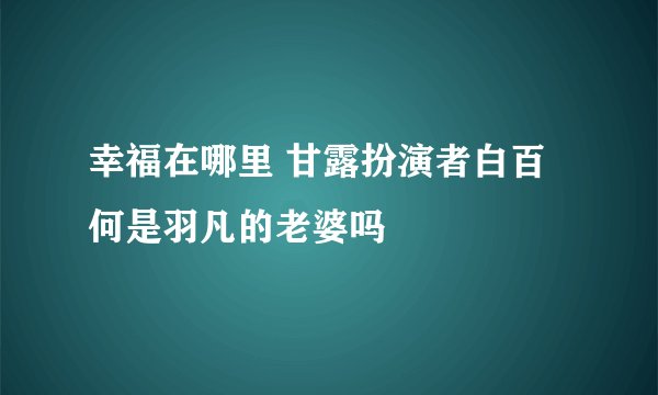 幸福在哪里 甘露扮演者白百何是羽凡的老婆吗