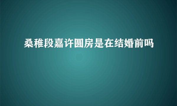 桑稚段嘉许圆房是在结婚前吗