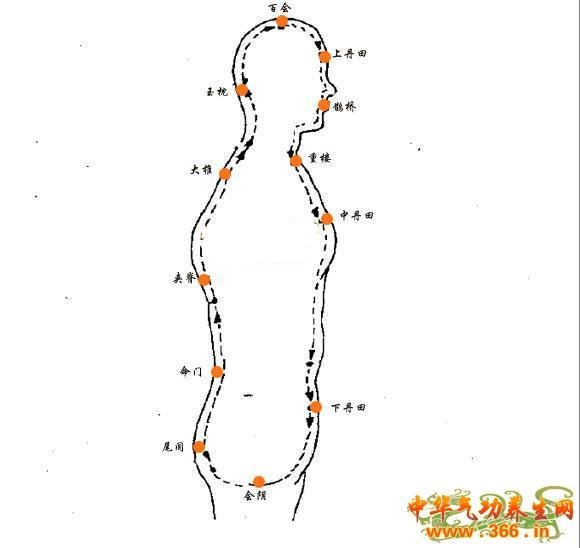 求小周天运行路线 最好带图