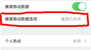 苹果4蜂窝移动网络怎么设置？
