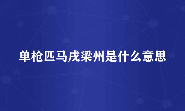 单枪匹马戌梁州是什么意思