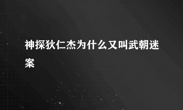 神探狄仁杰为什么又叫武朝迷案