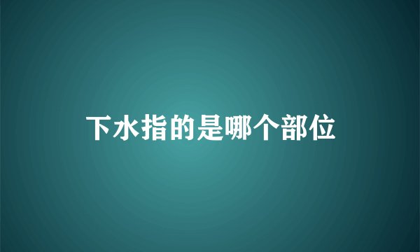 下水指的是哪个部位
