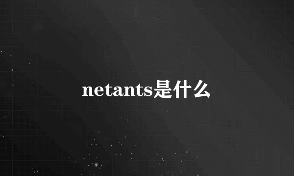 netants是什么
